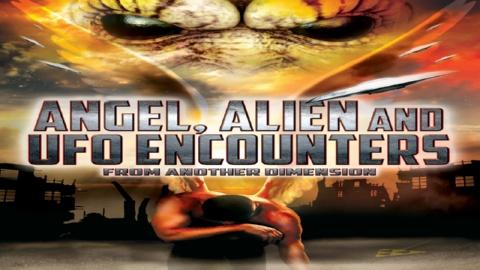 Angel, Alien And UFO Encounters From Another Dimension (2012)