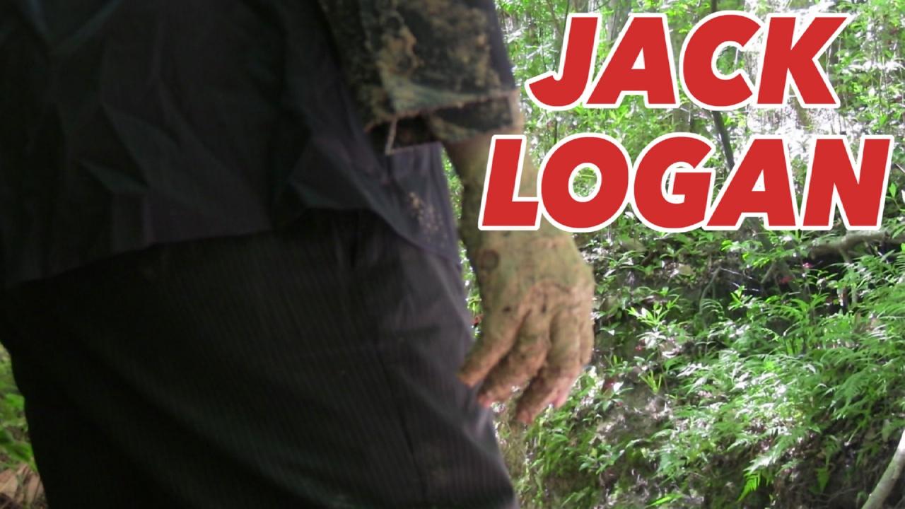 Jack Logan (2016)