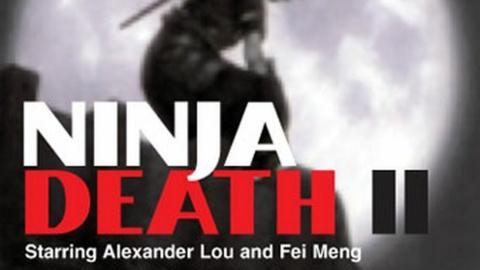 Ninja Death 2 (1987)